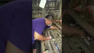 Poultry Farming. Layer Chicken. Egg harvest.