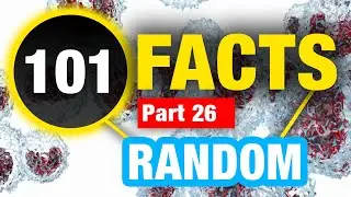 101 Amazing Facts to Blow Your Mind | Incredible Facts