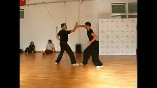 Portugal Chin Woo - Qinna Dui Ta  - Two person Joint Lock and Anti Joint Lock hand set