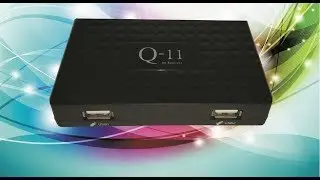 Q-11