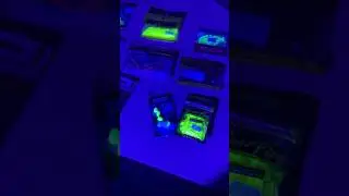 How to Verify UV Bait and Charge Quickly Glowing Baits | Fishing Tips and Secrets | Dark Light