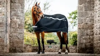 The Horseware Dry Liner Cooler Rug