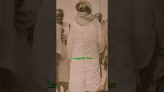 Le Magal de Touba : Un p&egrave;lerinage Spirituel et Culturel #magal #touba #baobab #africa