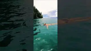 Visit Golfo Dulce!