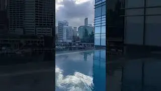 Infinity Pool Sofitel Darling Harbour Sydney Australia #shortsfeed #shortsvideo #short #shorts #fyp