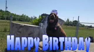 Happy birthday Brian from maxx