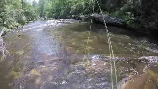 #27 Chattooga GA - Fishing the top 100 Trout Streams in America