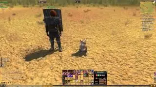 Everquest 2 - A cute little bunny rabbit in the Commonlands