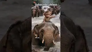 hepl monkey🐒 😰🥺.................... 🐘.. #subscribe #viralvideo #funny #funnyvideo @RSD-60 🙏🐘🐒