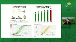 A robusta safra brasileira est&aacute; chegando ao mercado e o cen&aacute;rio &eacute; de press&atilde;o generalizada