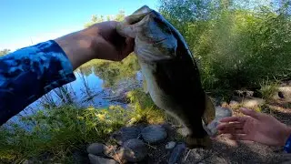 Jig summer fishing 🔥