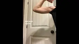 Bulk Day 16 Arm Day