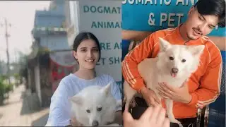 Donsu birami bhayo 😭 #avishekkhadka #familyvlog #petlover #dog #vlog #foryou