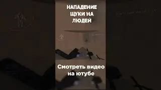 Противостояние #lethalcompany #clips #cooperativegameplay #funny #cooperative #fear #game #gameplay
