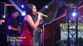 TUJUH SUMUR - Desy Arinta - Refana - Fira Production - Roe Audio