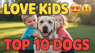 10 Dogs That LOVE Kids 🐾❤️ Family&rsquo;s Best Friends RANKED