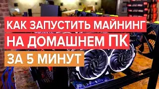 Как запустить майнинг на домашнем ПК с одной видеокартой. Запуск майнинга на Nicehash
