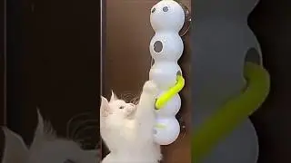 Teasing Cat Toy Automatic Pes Toy With Tail Motion Activated Kitten Toy Rechargeable Smart