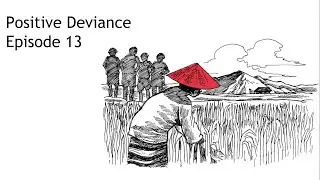 E13 - Positive Deviance