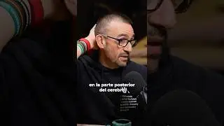 &iquest;Qu&eacute; son las neuronas espejo?
