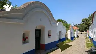 Discover Cellars Plže: The Most Magical Wine Village in South Moravia