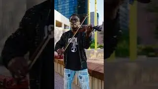 🎶 Laho - #Shallipopi Ft. #Burnaboy . #demolaviolinist #violin