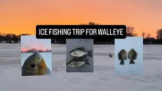 ICE FISHING FOR WALLEYE