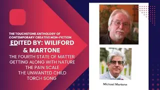 THE TOUCHSTONE ANTHOLOGY OF CONTEMPORARY CREATIVE NON-FICTION