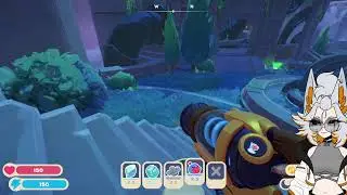 The big fish are back !discord !socials