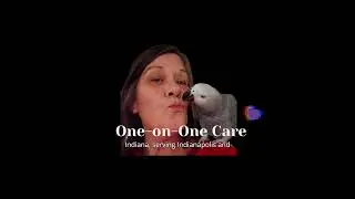 In Home Parrot Care in Indiana