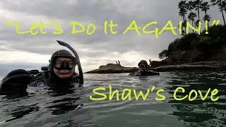 December Dive at Shaw's Cove