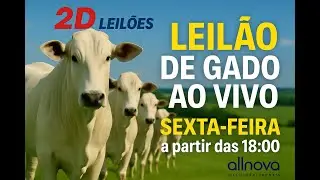 1º LEILÃO 2D LEILÕES AREALVA-SP