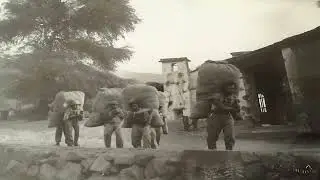 AVANCE DOCUMENTAL QUILLABAMBA un Legado Viviente