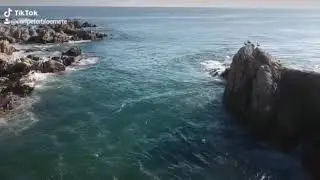 Hawston Harbour DJ SPARK DRONE