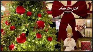 bạn có hẹn với cô ấy dưới ánh đèn phố 🎄⋆꙳❅·*₊⋆☃︎·*❆₊⋆ 🎀༘⋆