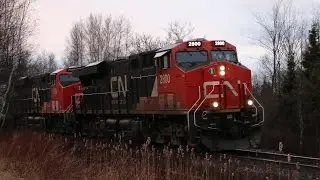 CN 2800 leads B730 and a special car!