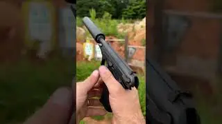 007 Budget Gun