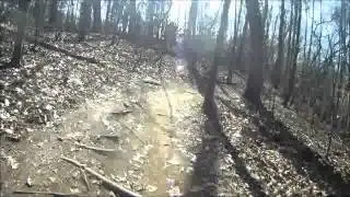 Renaissance Short Track