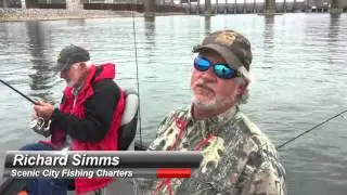 A Tennessee River Monster in the Scenic City