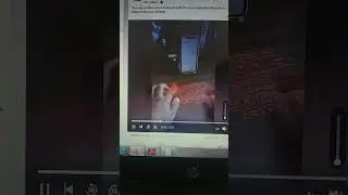 Wow Technology