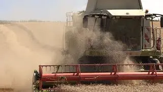 Moissons 2019 - Gaec De L'Aube - Claas Lexion 570 - Audeux - Doubs Franche-Comt&eacute;