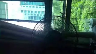 Magnificent Gney's Broadcast