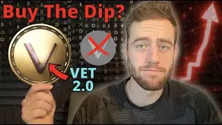VeChain HUGE Upgrade To VET 2.0! BILLIONS Flowing Into Crypto!