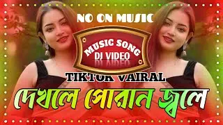 Dekle Poran Jole Go Sokhi || দেখলে পোরান জ্বলে গো সখি || Bangla gan || Bangla music gan  