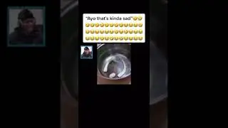dog sacrifices himself and ksi reacts 🥲