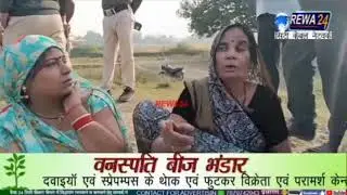 #News #Rewa24 #सिटी चैनल #12 November 2025 #NewsBulletin #Rewa