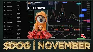 $DOG Potential 
