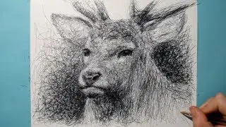 Drawing a Buck / Ballpoint Biro Pen / Scribble Art Therapy / Day 047