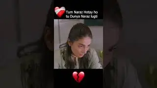 Tum Naraz Hotay Ho Tu Dunya#love #thriller #revenge #suspense #fypシ #fypシ゚viral #viralvideo #foryou