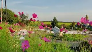 Tu Viện T&acirc;y Thi&ecirc;n - Westlock Meditation Center, Canada